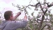 Kosovo Grant Program Boosts Farmers